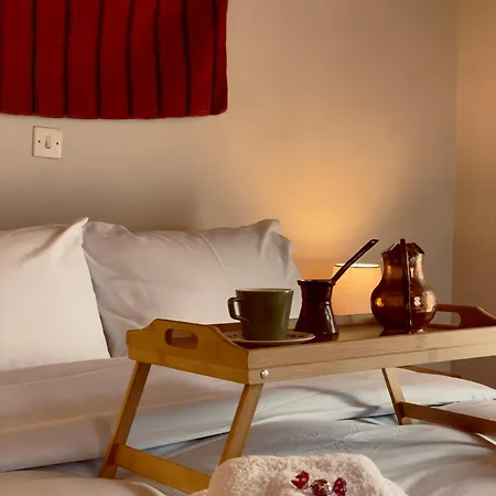 Forrest Tatil Evi Polídhroson