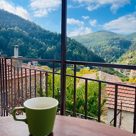 Forrest * Polídhroson