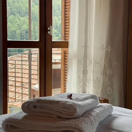 Forrest * Polídhroson