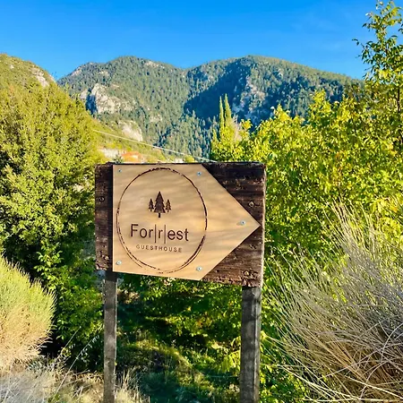 Forrest Ferienhaus *