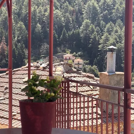 Forrest Holiday home