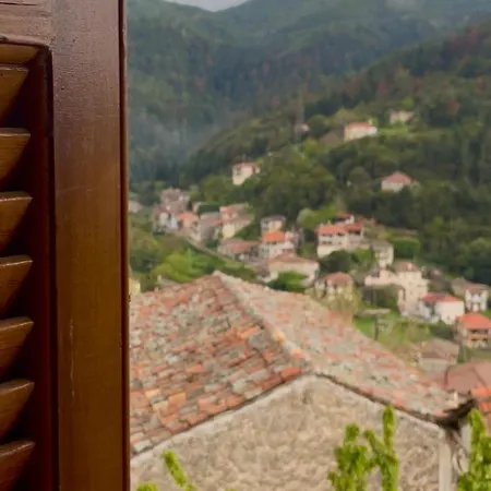 Casa vacanze Forrest