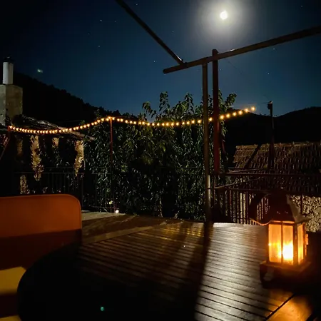 Forrest Polídhroson