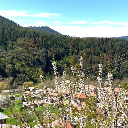 Ferienhaus Forrest Polídhroson