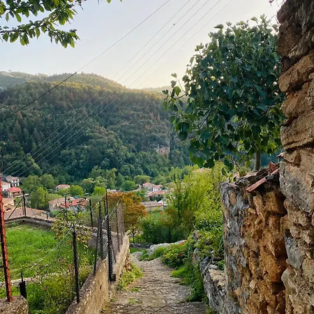 Forrest Polídhroson