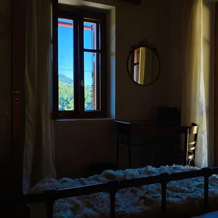 Forrest Polídhroson