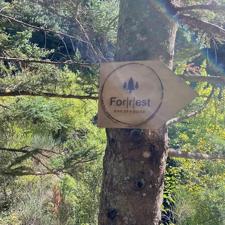 Forrest Polídhroson