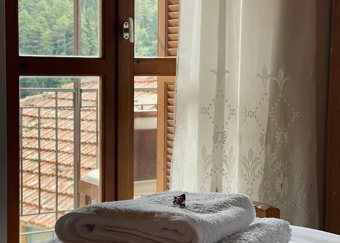 Forrest * Polídhroson