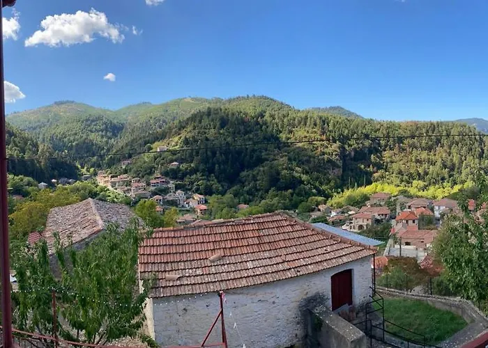 Forrest Feriehus Polídhroson