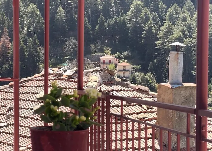 Forrest Prázdninový dům