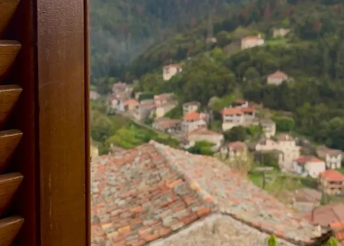 Prázdninový dům Forrest