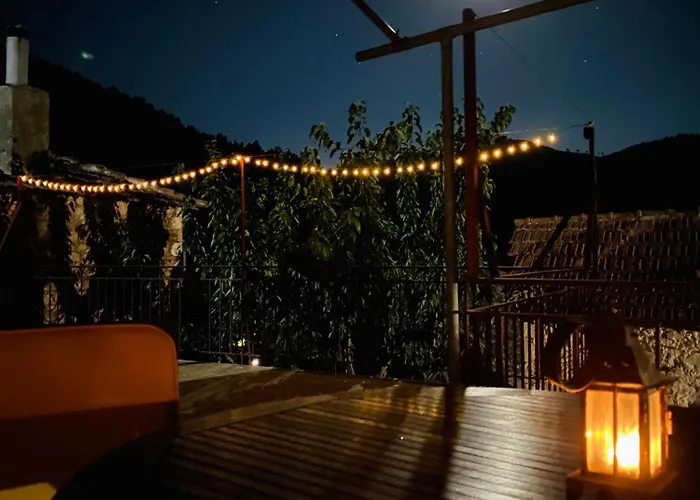 Forrest Polídhroson