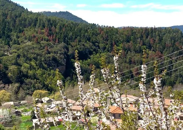 Feriehus Forrest Polídhroson