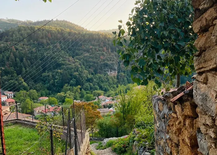 Forrest Polídhroson