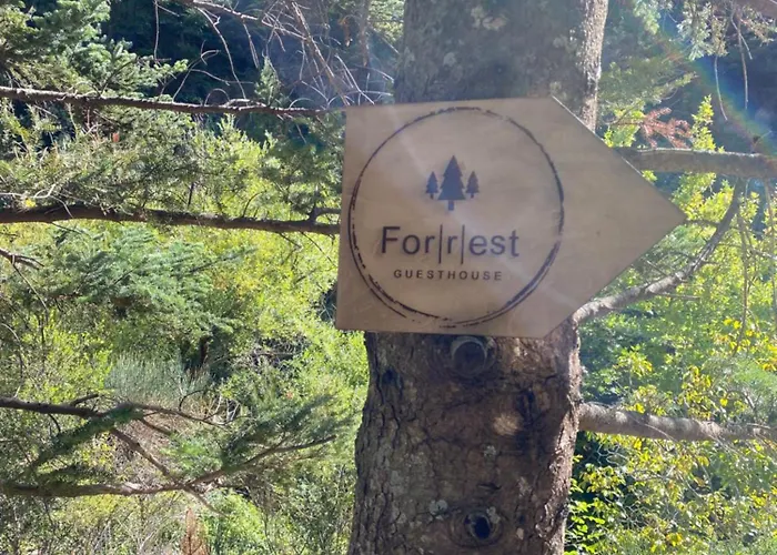 Forrest Polídhroson